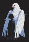 lightyagami_'s Avatar